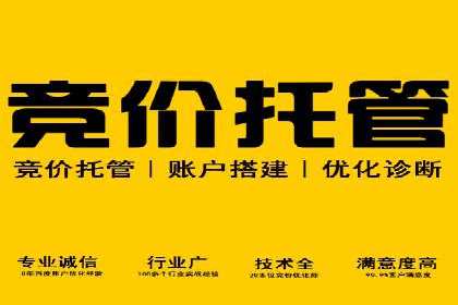 百度优化推广案例：快速提升网站排名